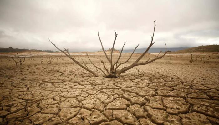 Desertification and Its Risks to Humans and the Environment